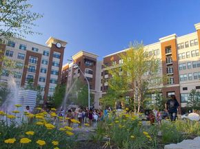 1401 S Edgewood Street 492, Arlington VA 22204