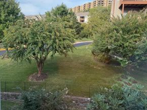 5295 Cozy Glen Lane, Alexandria VA 22312