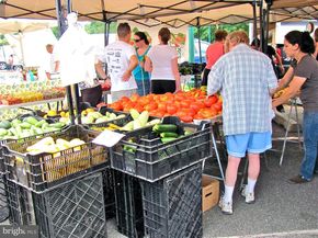 200 N Pickett Street 512, Alexandria VA 22304