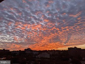 200 N Pickett Street 512, Alexandria VA 22304