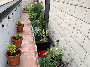 245 15TH Street SE 403, Washington DC 20003