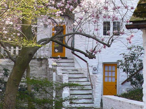 117 Arden Road, Conshohocken PA 19428