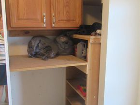 601 NW 76th Ter 206, Margate FL 33063