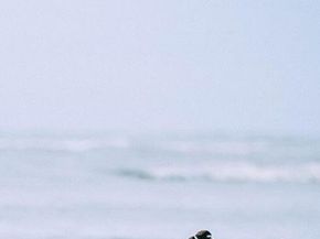 1830 W Meadows Circle 1830, Boynton Beach FL 33436