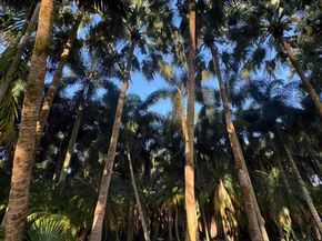 14344 North Road, Loxahatchee Groves FL 33470