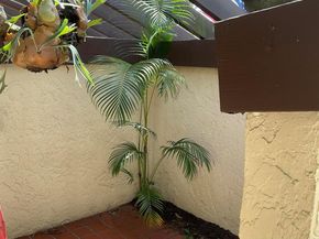 3898 Vine Tree Trail B, Lake Worth FL 33467