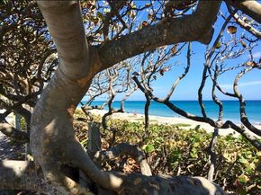 601 Seafarer Circle 504, Jupiter FL 33477