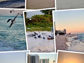 7300 Wayne Avenue 213, Miami Beach FL 33141