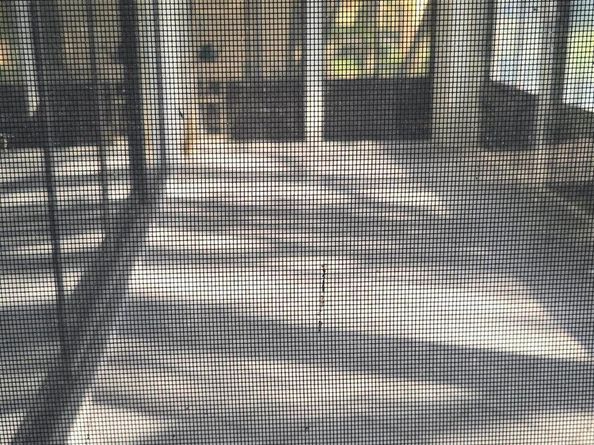 11281 Aspen Glen Drive 104, Boynton Beach FL 33437