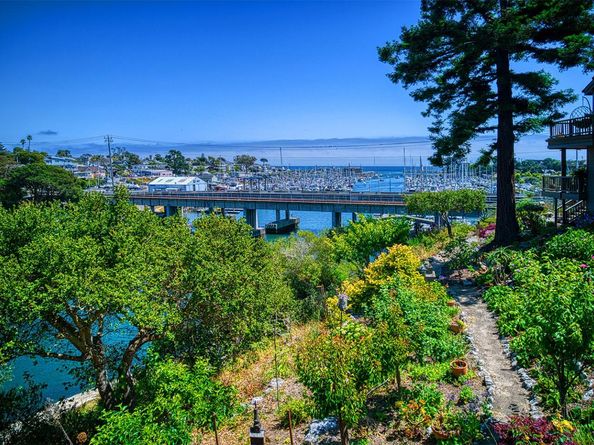 92 Frederick Street A, Santa Cruz CA 95062