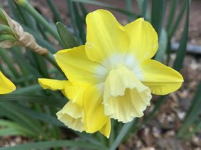 1152 Curtner Avenue, San Jose CA 95125