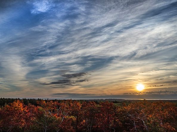40 Firefly Point 40, Plymouth MA 02360