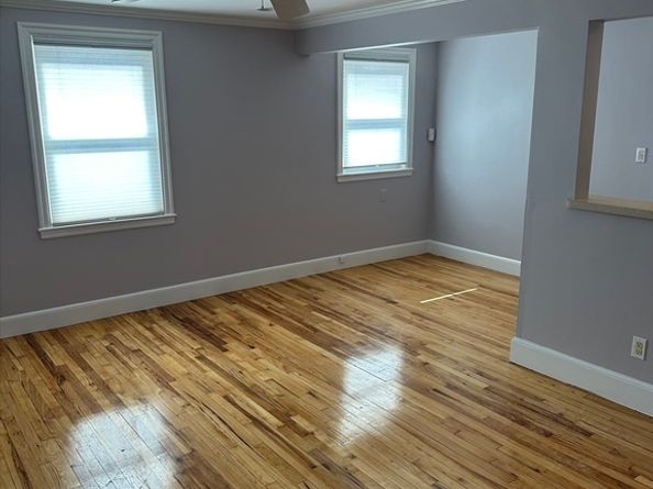 33 Paragon Rd, Boston MA 02132