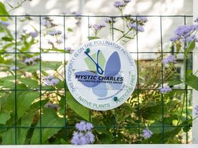 126 Harvey St 2, Cambridge MA 02140