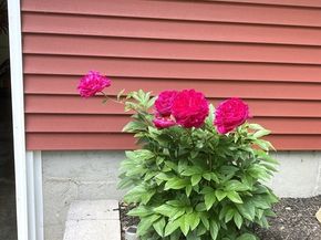 156 Vaughn Rd., Athol MA 01331