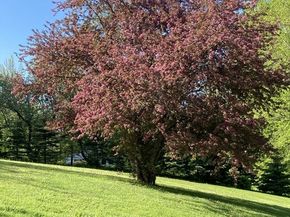 156 Vaughn Rd., Athol MA 01331