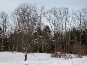 97 Pearl St, Winchendon MA 01475