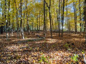 463 Edmands Rd, Framingham MA 01701