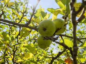 171 South Rd, Templeton MA 01468