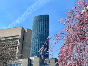 1 Dalton St 3108, Boston MA 02115