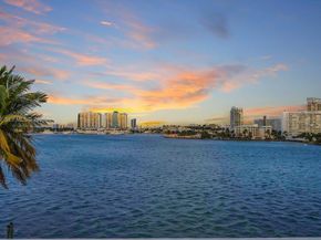 333 E Rivo Alto Dr, Miami Beach FL 33139