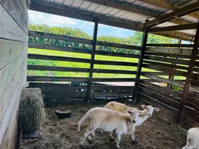 5901 SW 160th Ave, Southwest Ranches FL 33331