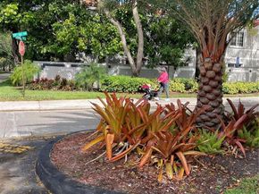 2260 SW 83rd Ave, Miramar FL 33025