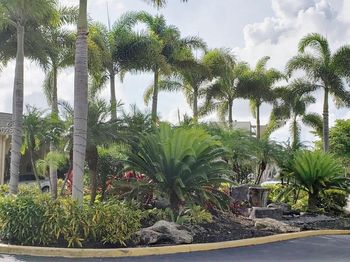 3836 Via Poinciana