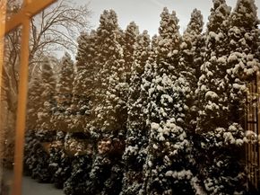 48 Adams Avenue, Sound Beach NY 11789