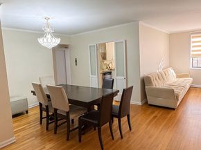 141-05 Pershing Crescent 416, Briarwood NY 11435