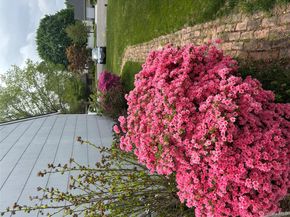 5 Haiti Lane, Coram NY 11727