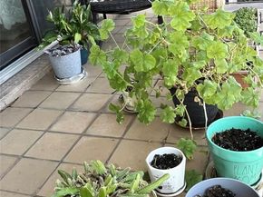 31-35 31ST Street 516, Astoria NY 11106