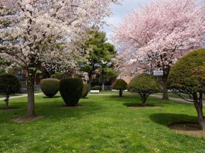 13835 Jewel Avenue 1A, Kew Garden Hills NY 11367