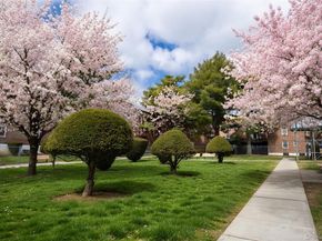 13835 Jewel Avenue 1A, Kew Garden Hills NY 11367