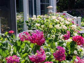1251 A North Country Road, Stony Brook NY 11790