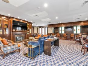 236 Roosevelt Way 3306, Westbury NY 11590