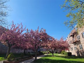 111-09 66 Road 3A, Forest Hills NY 11375