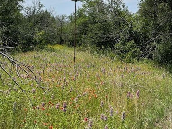 9349  Dickson Road , Fort Worth Texas 76179