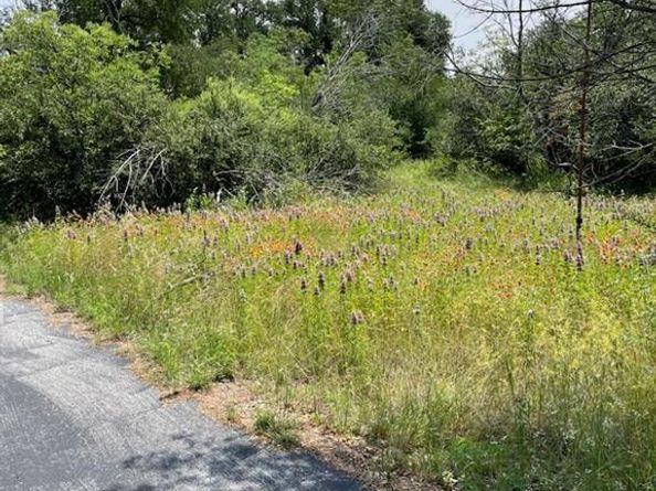 9349  Dickson Road , Fort Worth Texas 76179