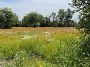 9349  Dickson Road , Fort Worth Texas 76179