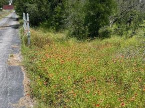 9349  Dickson Road , Fort Worth Texas 76179