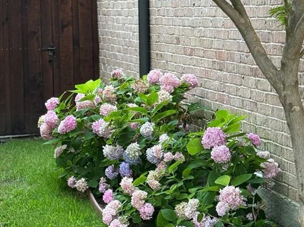 5718  Stanford Avenue , Dallas Texas 75209