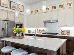 8549  Texas Ash Drive , Justin Texas 76247