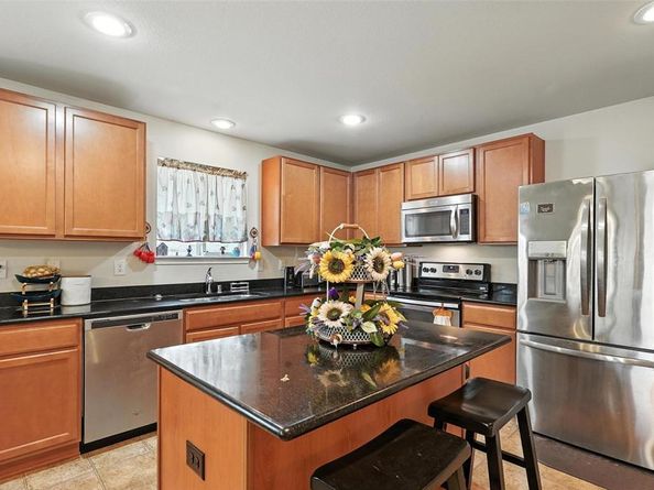 10236  Pyrite Drive , Fort Worth Texas 76131