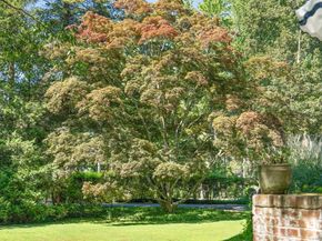 46 Sunswyck Road, Darien CT 06820