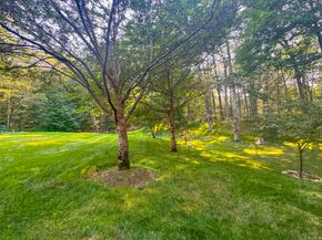 259 Wilton Road, Westport CT 06880
