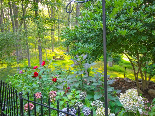 259 Wilton Road, Westport CT 06880