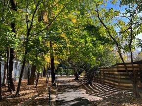 5500 Fieldston Road 8CC, Bronx NY 10471