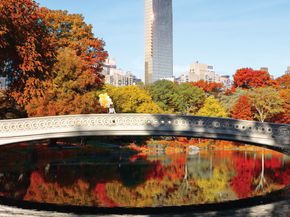 50 West 66th Street 40N, New York NY 10023