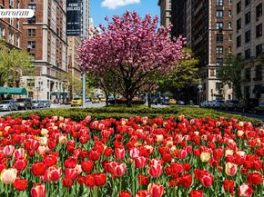 16 Park Avenue 12C, New York NY 10016